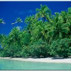 Palmenstrand auf Aitutaki