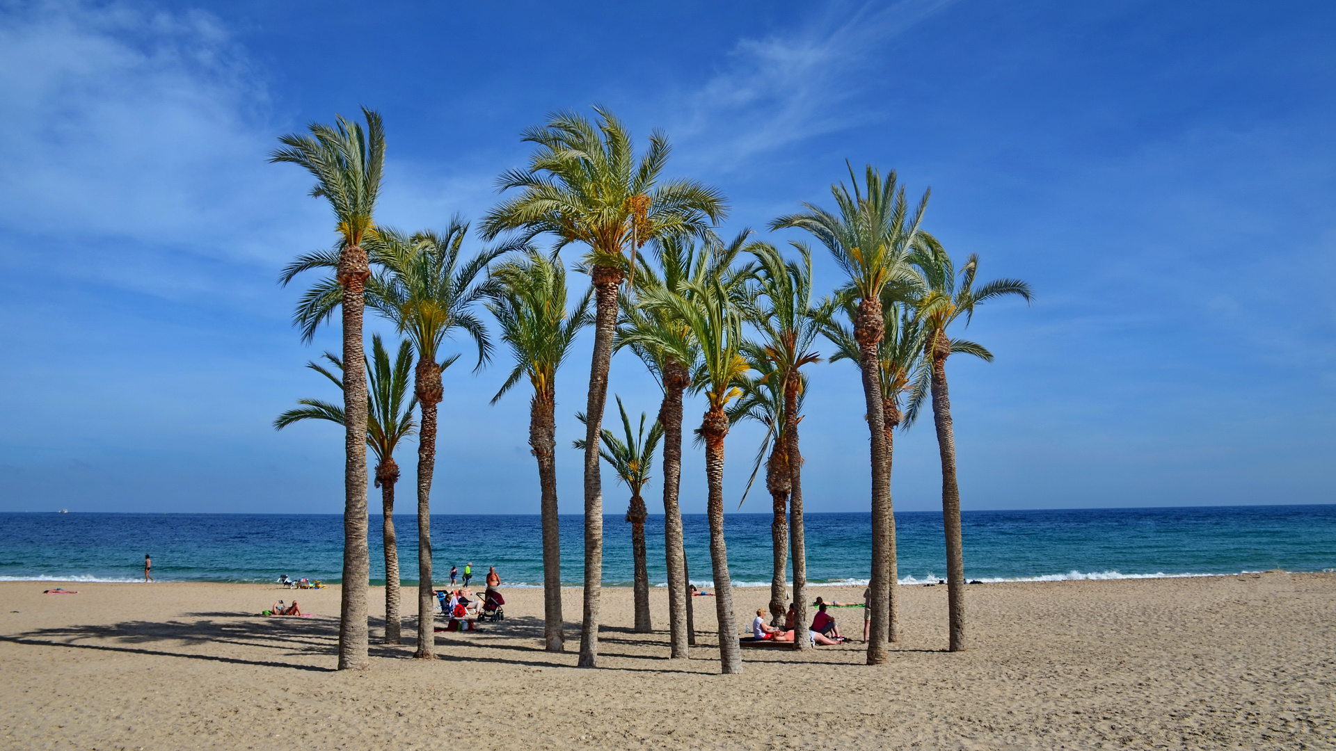 Palmenstrand von Villajoyosa