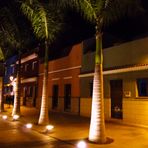 Palmenstrasse bei Nacht in Puerto de la Cruz