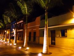 Palmenstrasse bei Nacht in Puerto de la Cruz