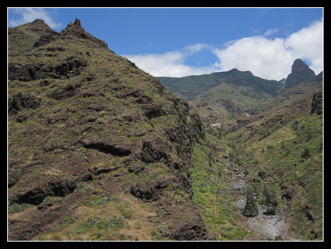 Palmental - La Gomera