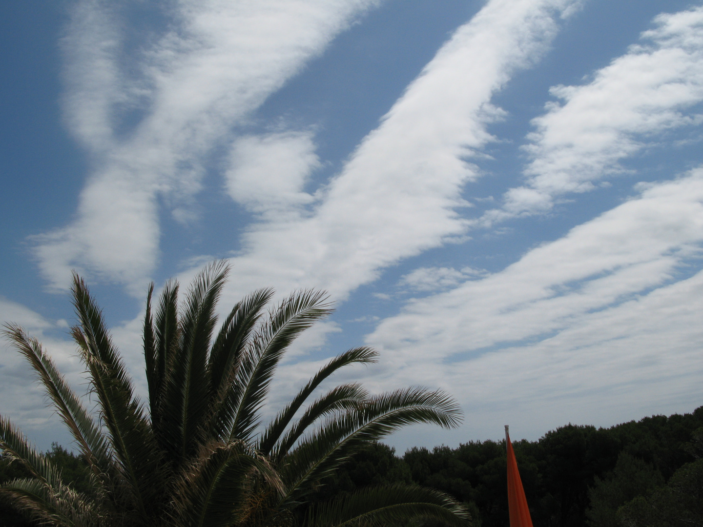 Palmenverlängerung durch Wolkenfetzen