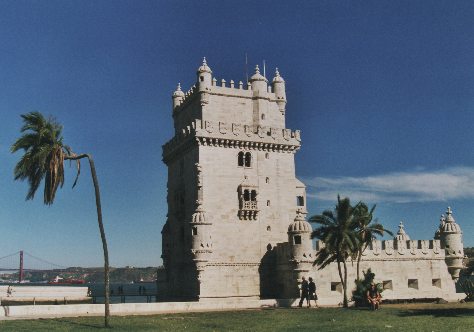 PALMERA DOBLADA