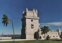 PALMERA DOBLADA by Josep Roig 