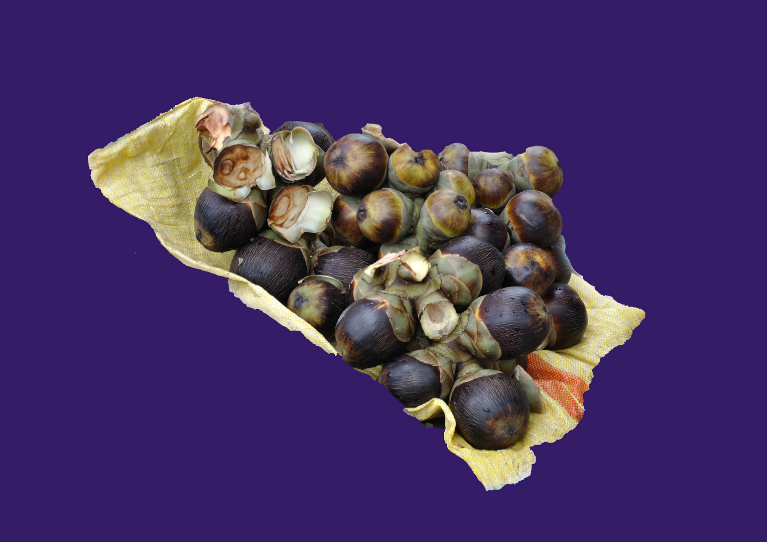 Palmera Fruits