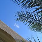 Palmes, ciel bleu et briques de Tozeur