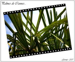 Palmes de Cannes