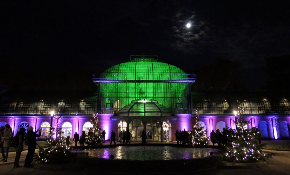 ...Palmgarten Winterlichter...01