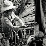 Palmherzen ernten in Laos