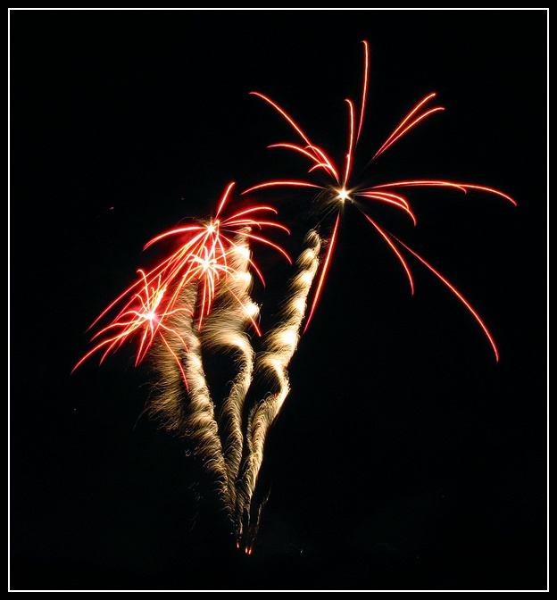 Palmier d'artifice