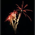 Palmier d'artifice