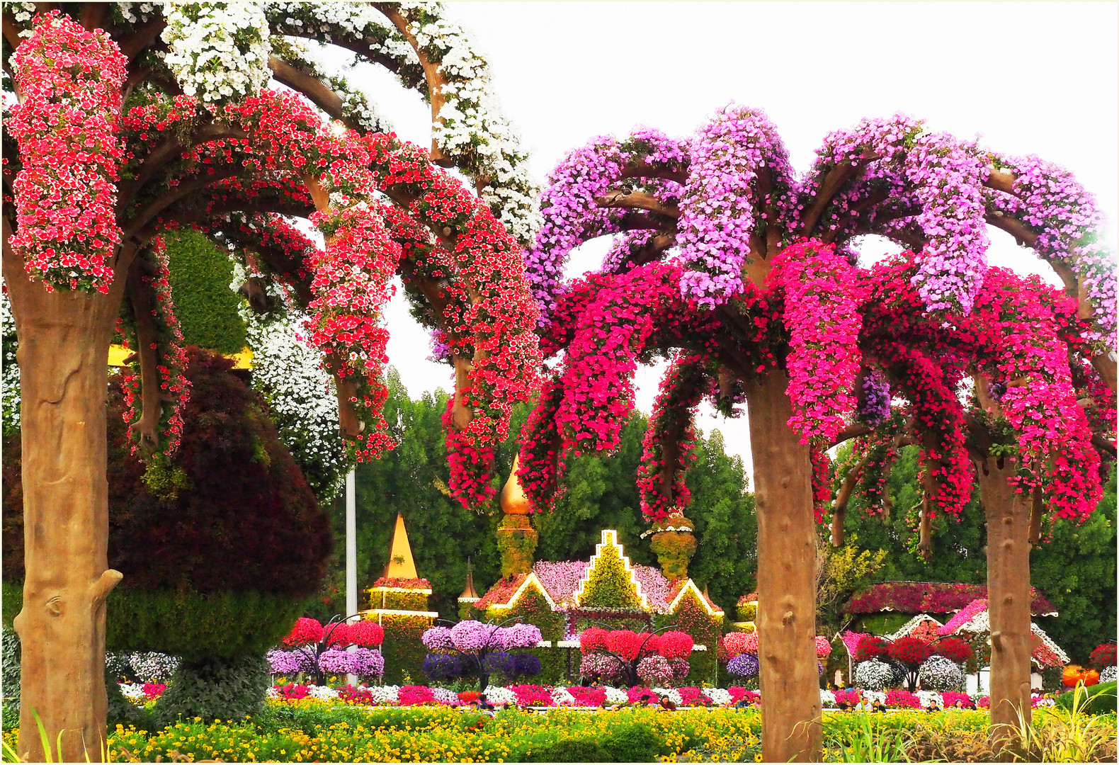 Palmiers en fleurs