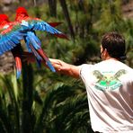 Palmitospark - Gran Canaria