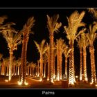 Palms