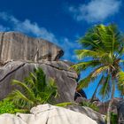 Palms and stones