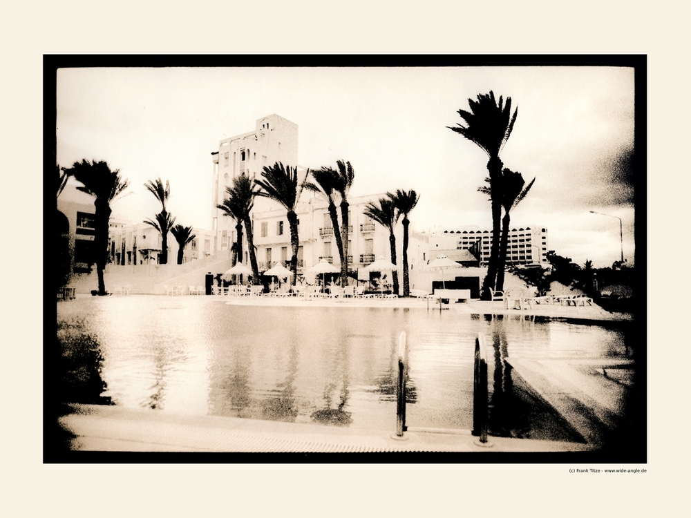 Palms at the Pool