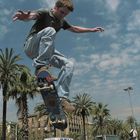 Palm_Skate