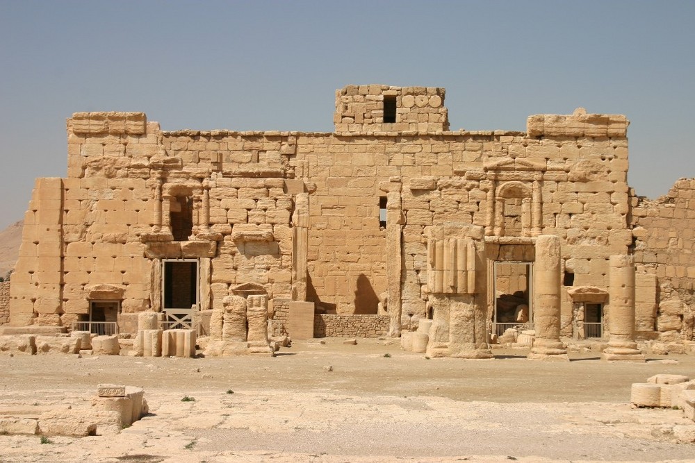 Palmyra 1