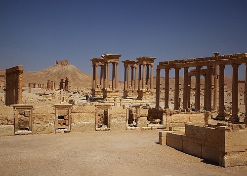 Palmyra 1