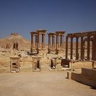 Palmyra 1