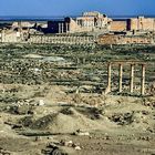 Palmyra.      ...120_4407