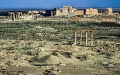 Palmyra.      ...120_4407