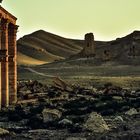Palmyra.          ..120_4429