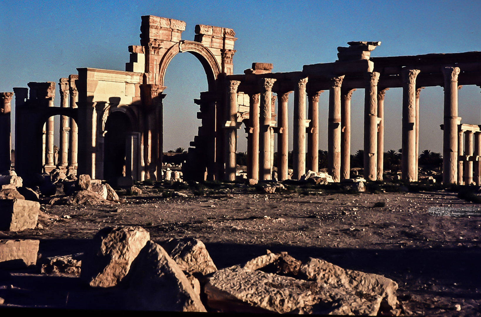 Palmyra.        ..120_4431