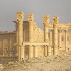 Palmyra (2)