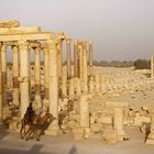 Palmyra (2)