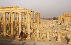 Palmyra (2)