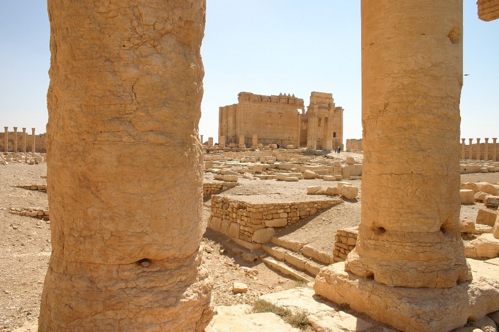 Palmyra 2