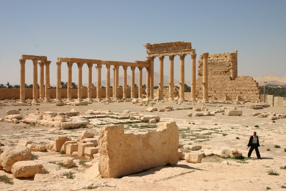 Palmyra 3