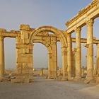 Palmyra (3)