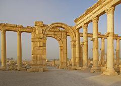 Palmyra (3)