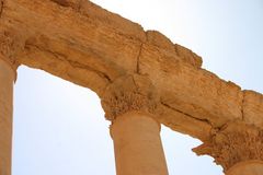 Palmyra 4