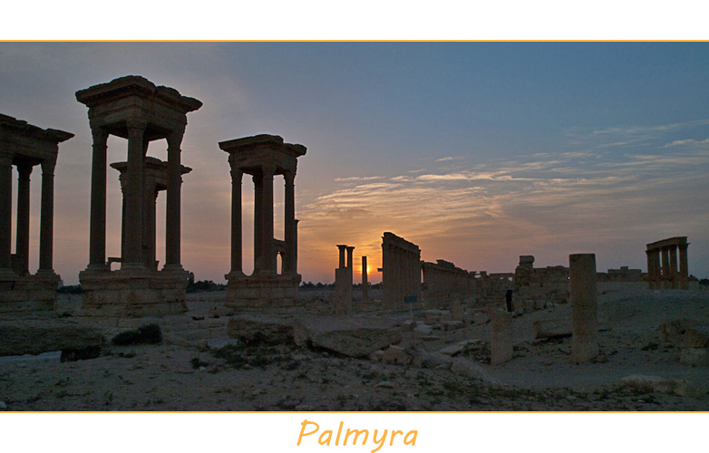 Palmyra