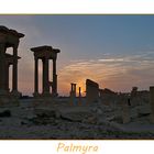 Palmyra