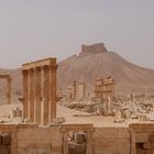 Palmyra