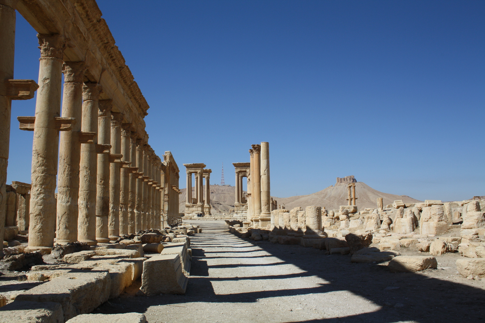 Palmyra