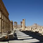 Palmyra