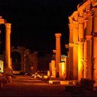 Palmyra bei Nacht
