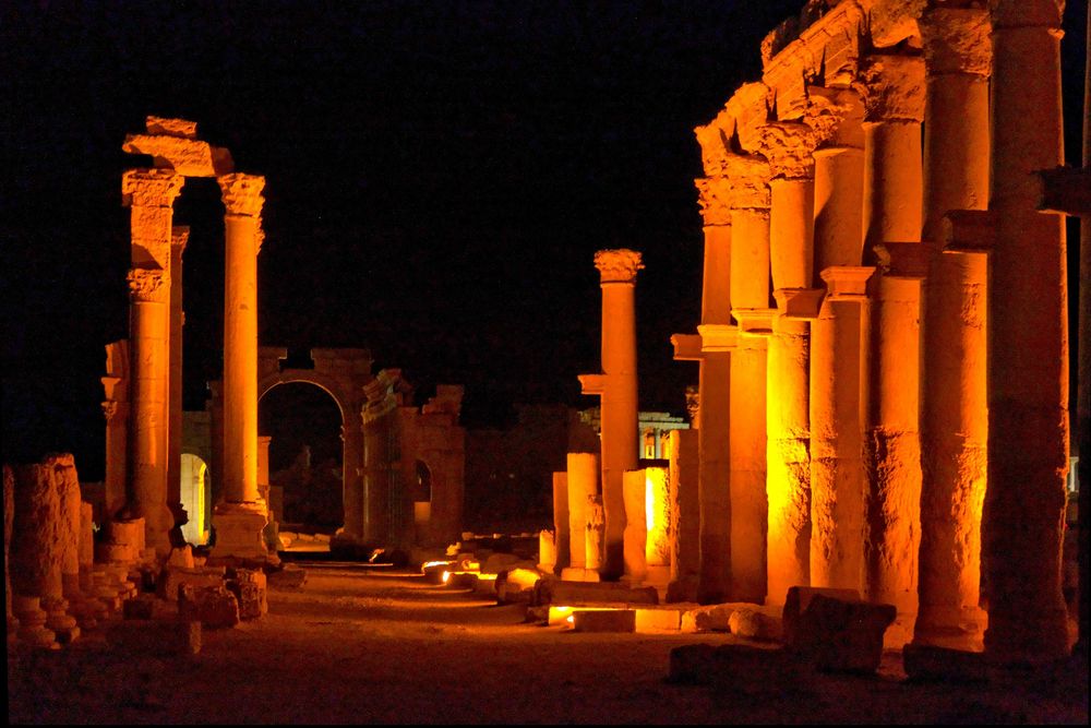 Palmyra bei Nacht