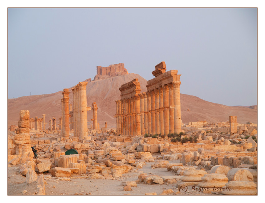 Palmyra bei Sonnenaufgang