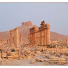 Palmyra bei Sonnenaufgang