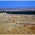 Palmyra - Blick vom Grabhügel auf die gesamte Anlage - vor der Zerstörung
