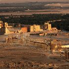 Palmyra - Gerettet?