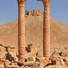 PALMYRA mit Drusenburg ....... mal anders