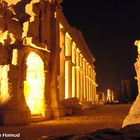 Palmyra @ Night