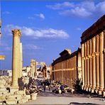 Palmyra - Säulenstraße